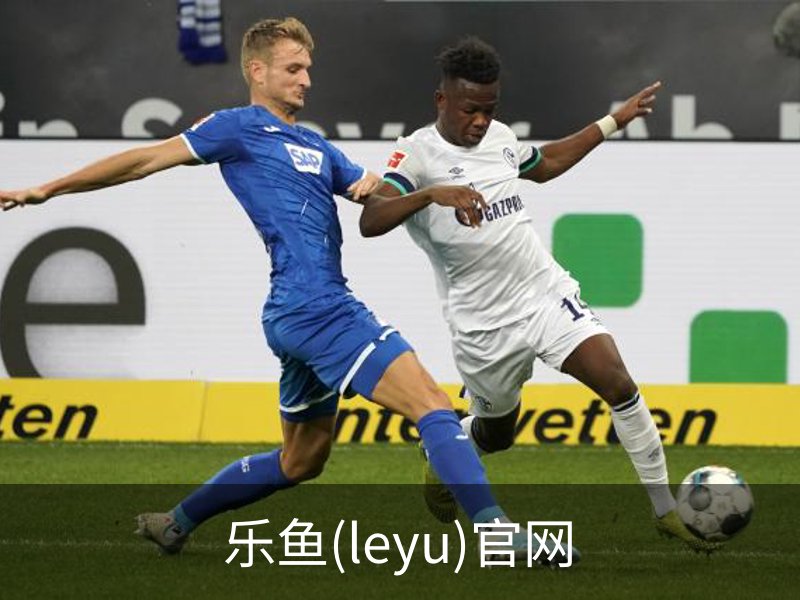 乐鱼(leyu)官网概况